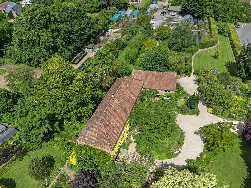 DJI 0984.jpg