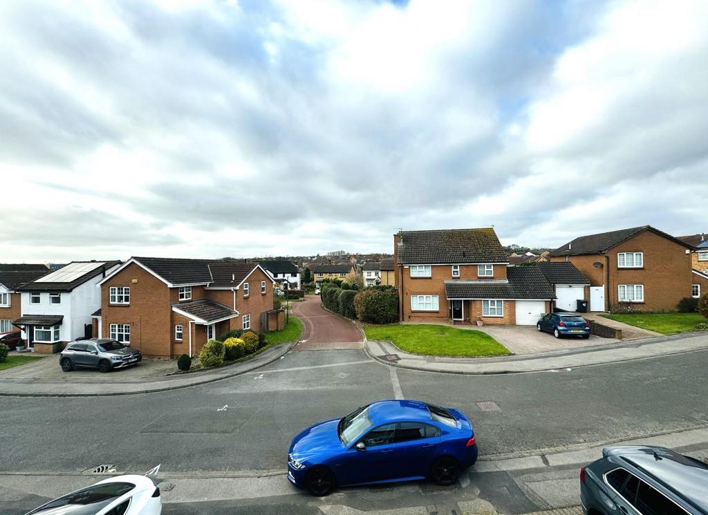 Front view