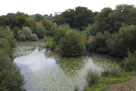 Land for sale, Ewhurst Green, Robertsbridge, East Sussex, TN32