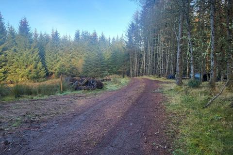 Land for sale, Rutting Season 12, Spean Bridge, Fort William