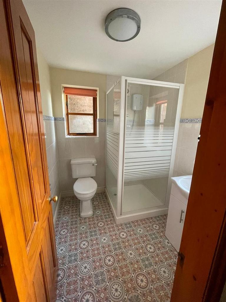 Downstairs Shower room