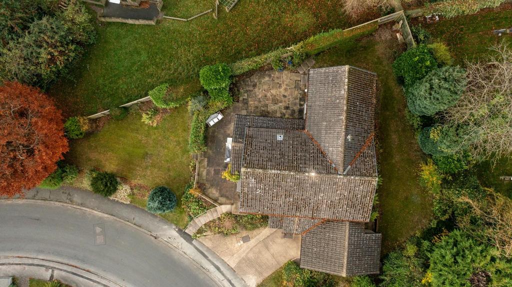 DJI 0767.jpg