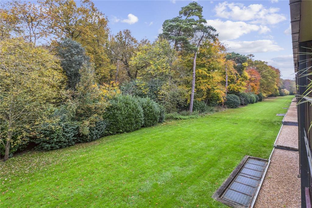 Communal Gardens