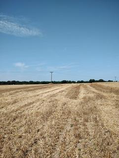 Land for sale, Norwich Road, Little Plumstead, Norfolk NR13