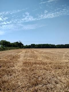 Land for sale, Norwich Road, Little Plumstead, Norfolk NR13