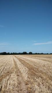 Land for sale, Norwich Road, Little Plumstead, Norfolk NR13