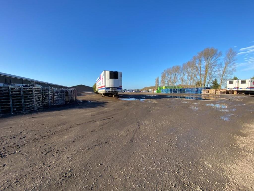 IMG 3721  Reduced Shaddow