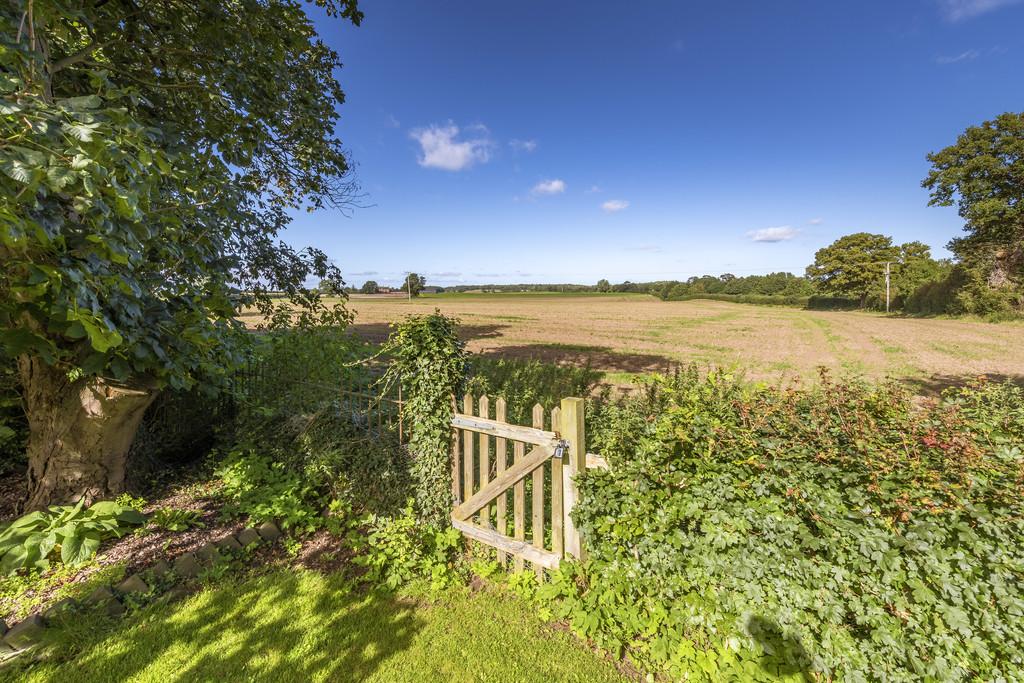 Countryside Views