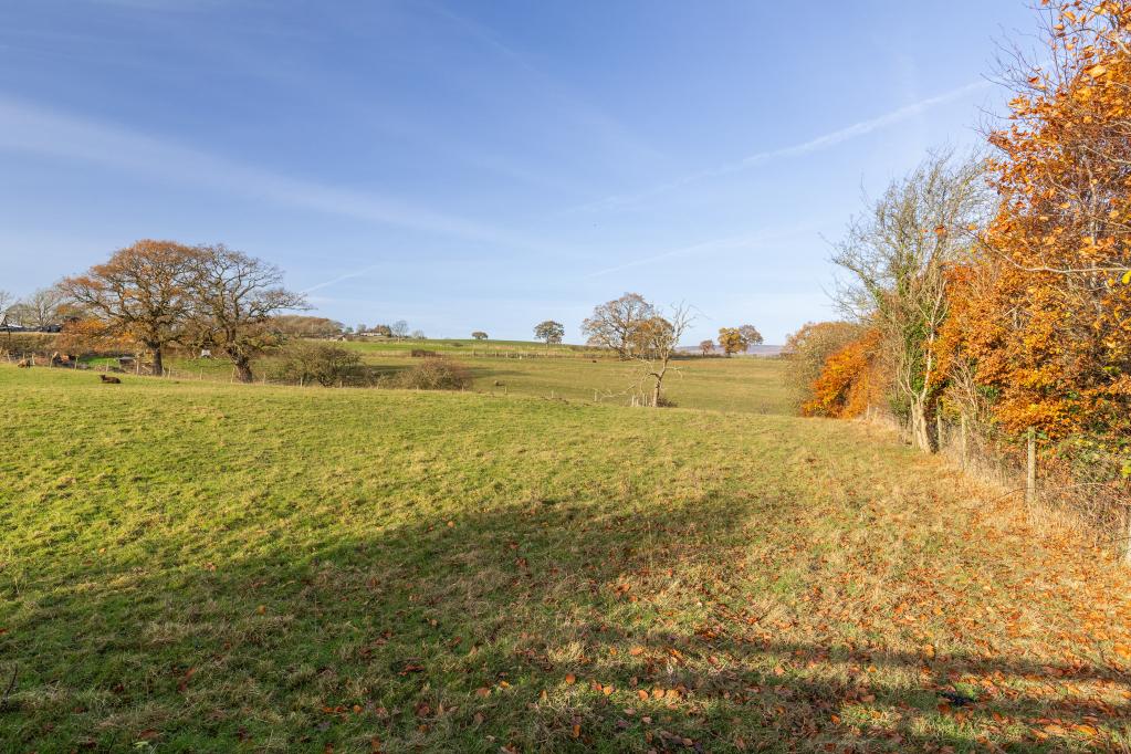 Open Countryside