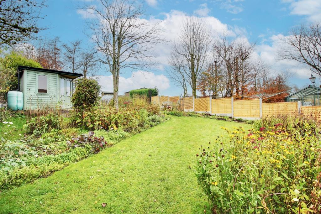 Back Garden