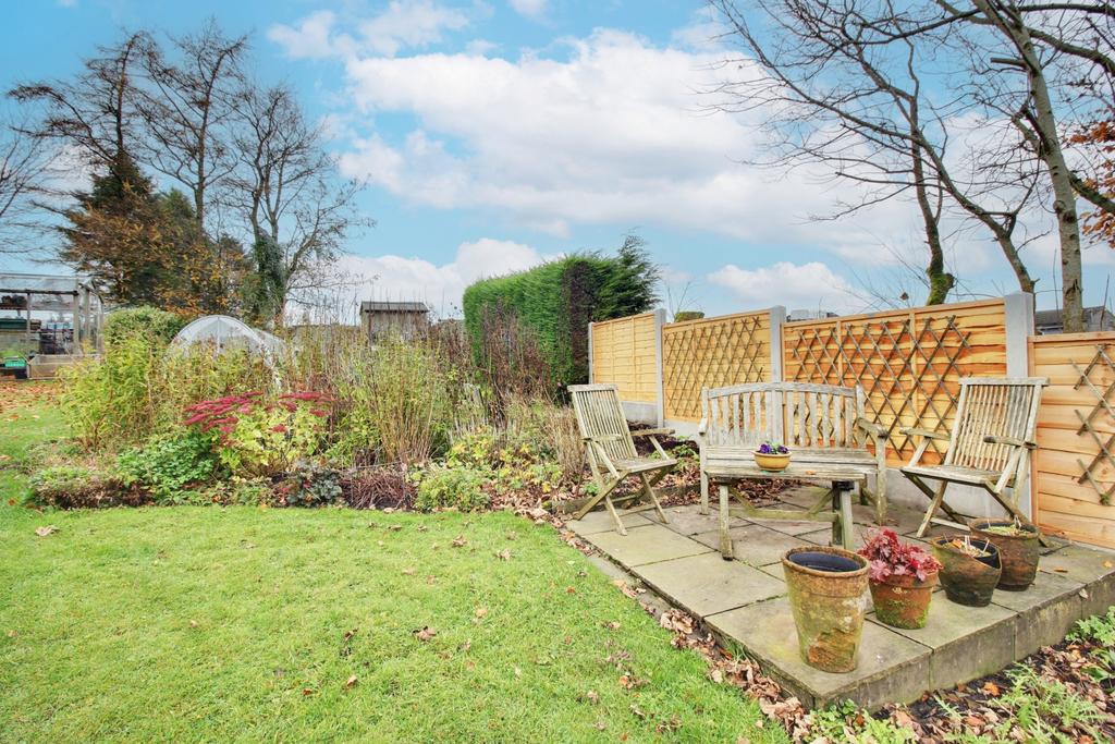 Back Garden