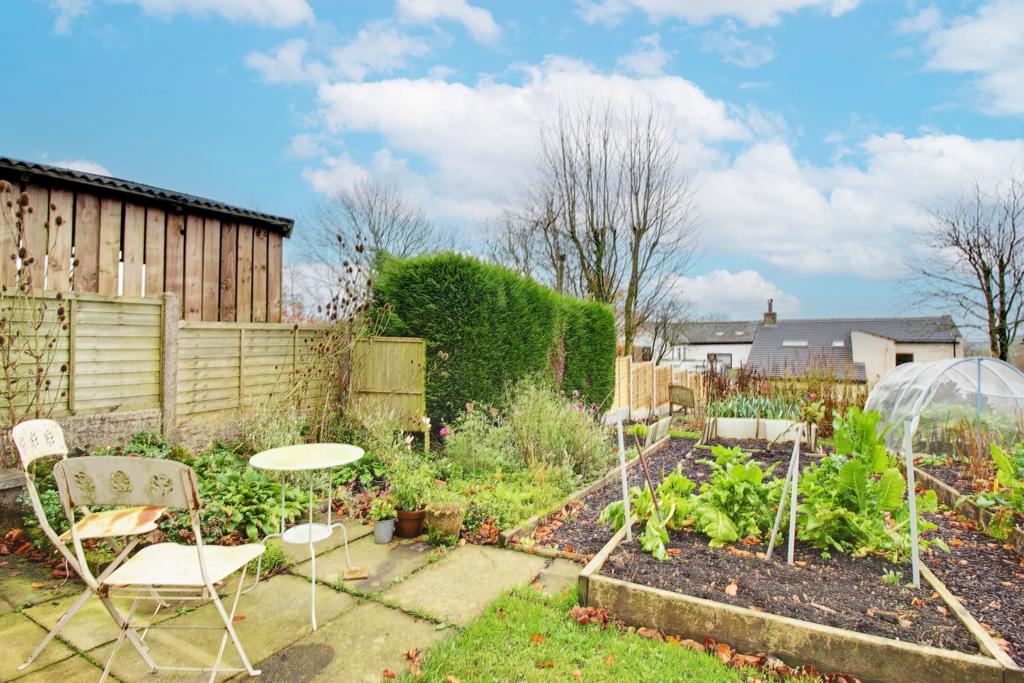 Back Garden
