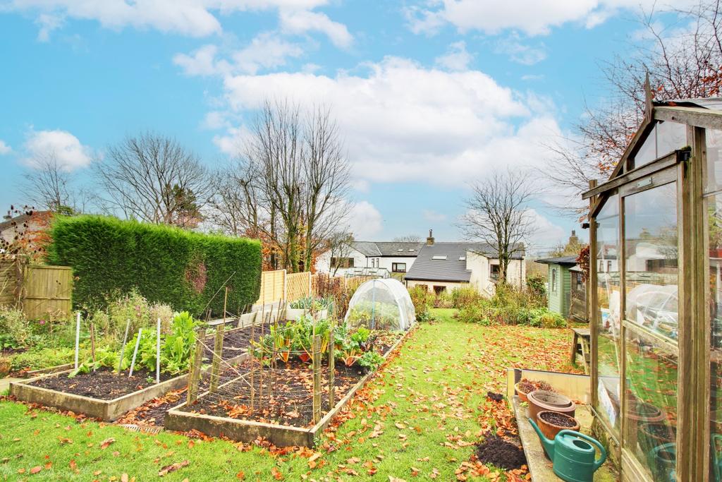Back Garden