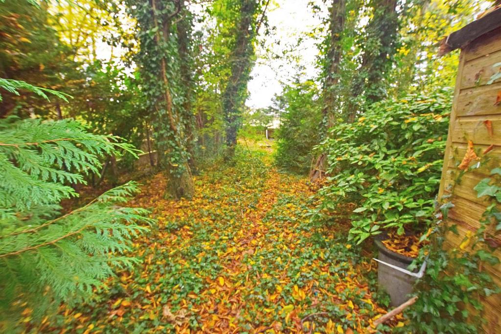 Rear garden