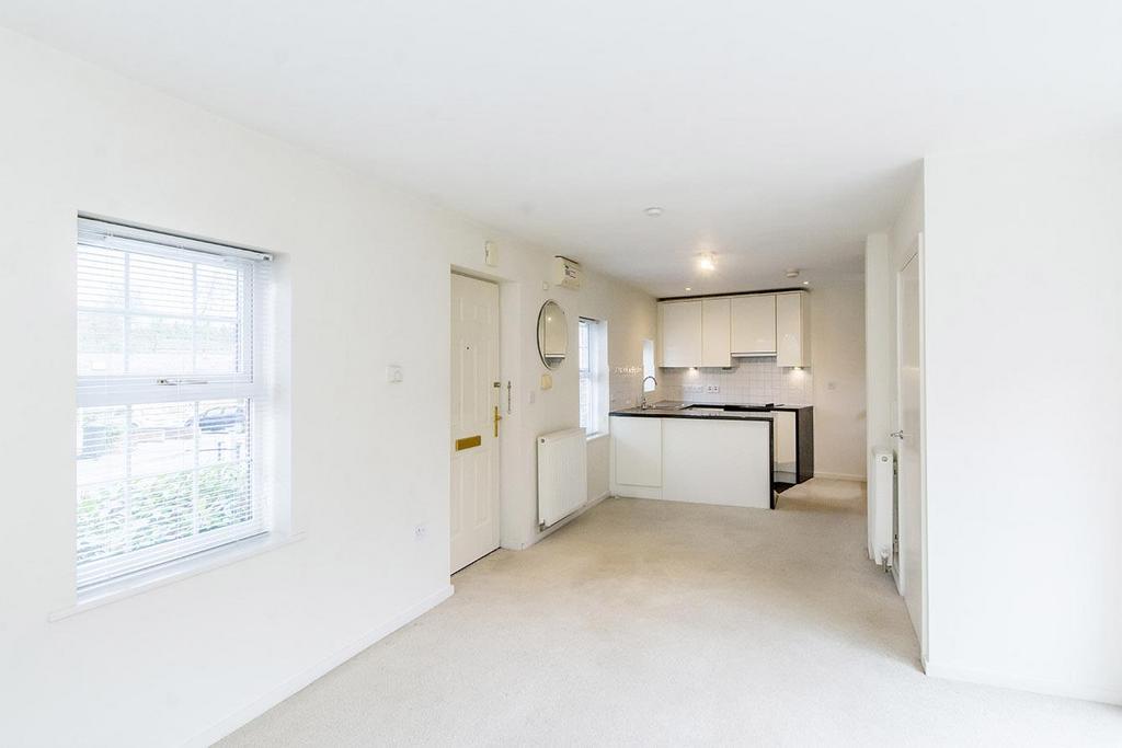 Open Plan Living Room &amp; kitchen