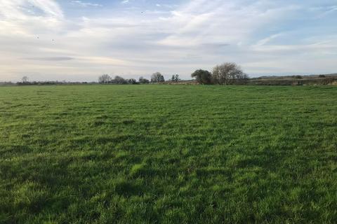 Farm land for sale, Greylake, Middlezoy, Bridgwater, TA7