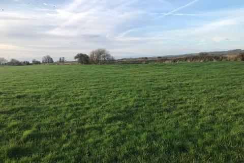 Farm land for sale, Greylake, Middlezoy, Bridgwater, TA7