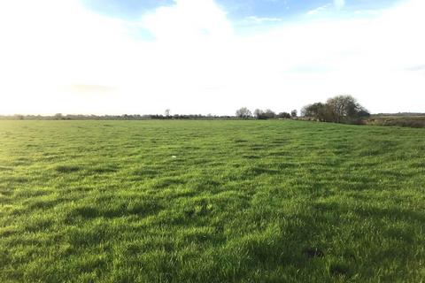 Farm land for sale, Greylake, Middlezoy, Bridgwater, TA7