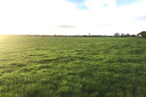 Farm land for sale, Greylake, Middlezoy, Bridgwater, TA7