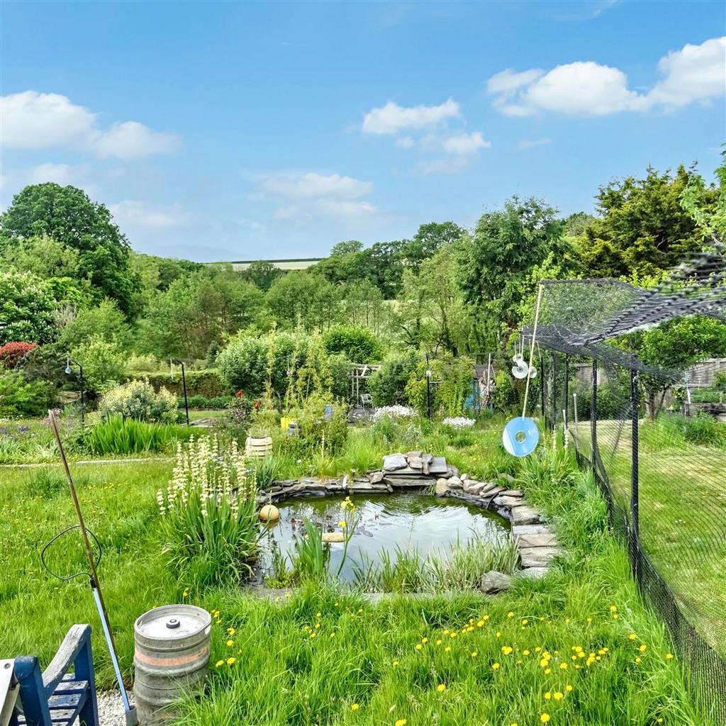 Pond