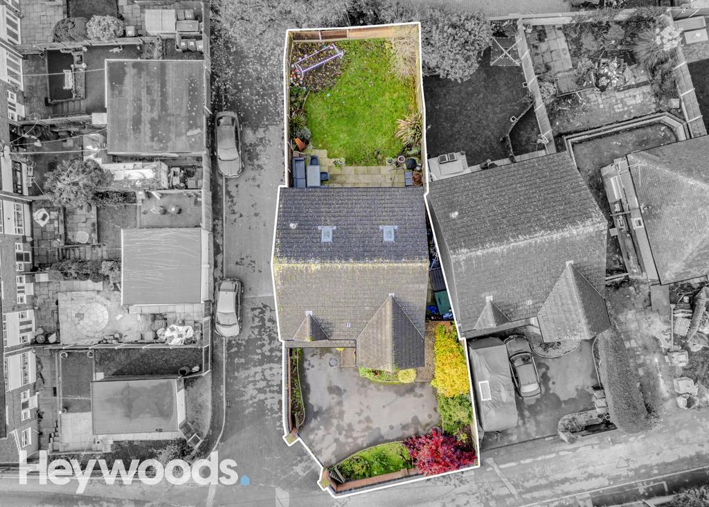 20241112-DJI 0126-Enhanced-SR - Copy