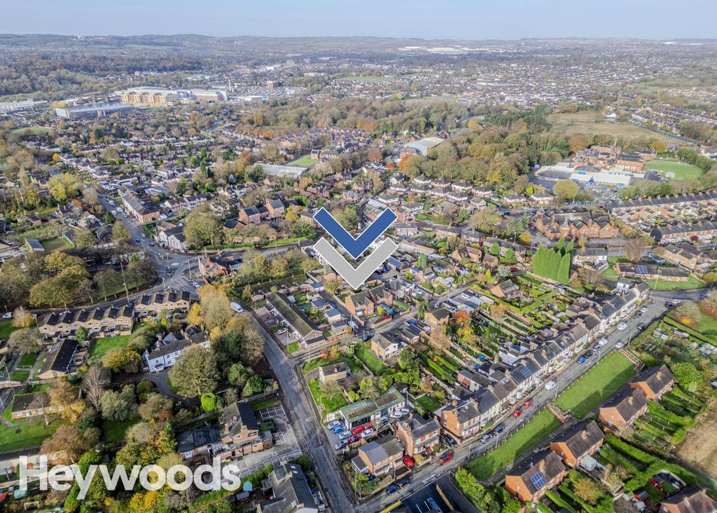20241112-DJI 0130-Enhanced-SR - Copy