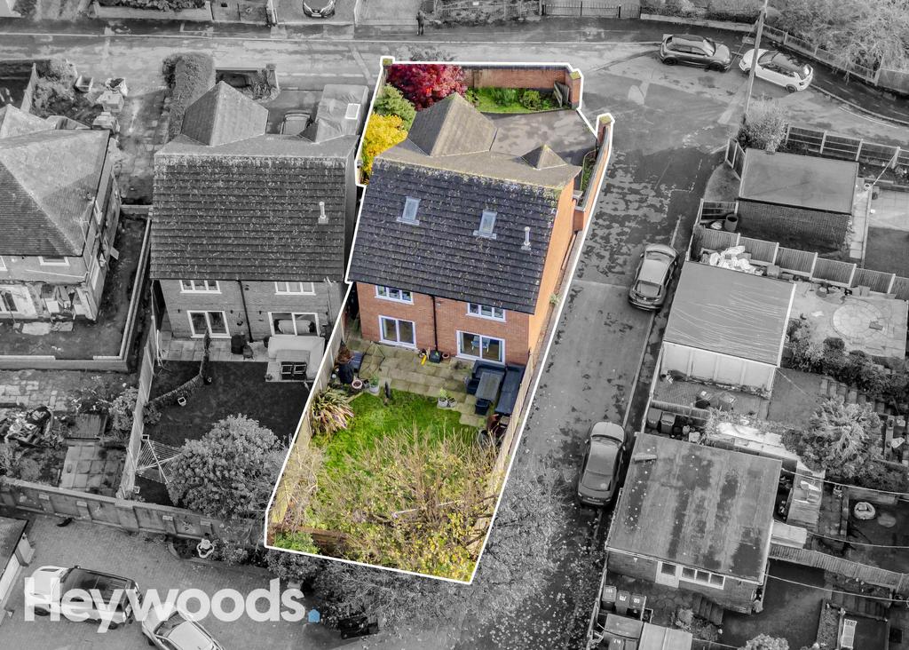 20241112-DJI 0131-Enhanced-SR - Copy