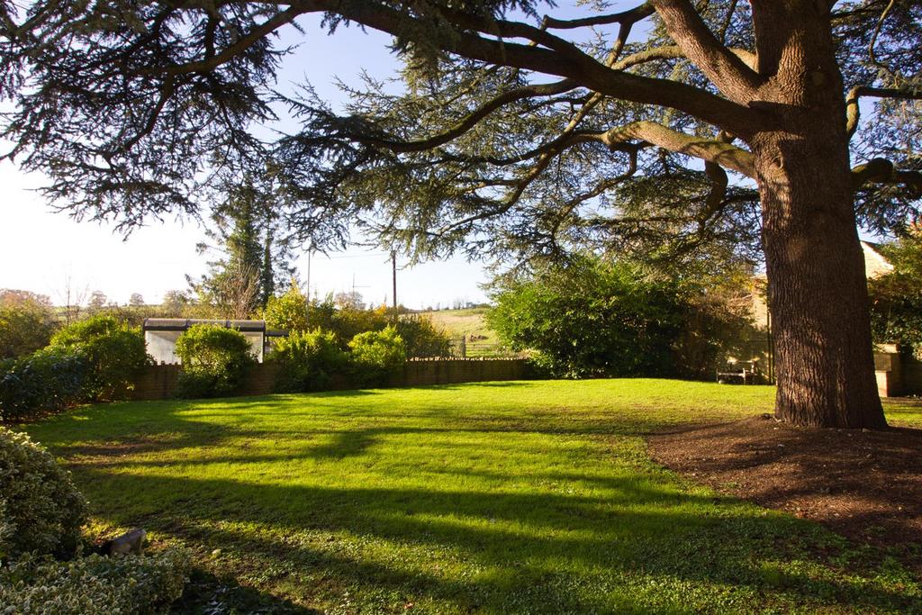 Communal Garden