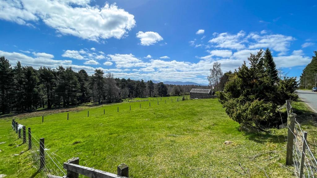 Road view cairngorms-1.png