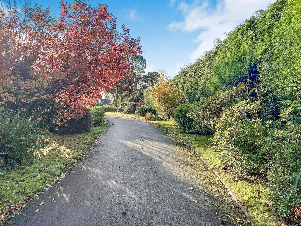 Driveway &amp; Front Gardens