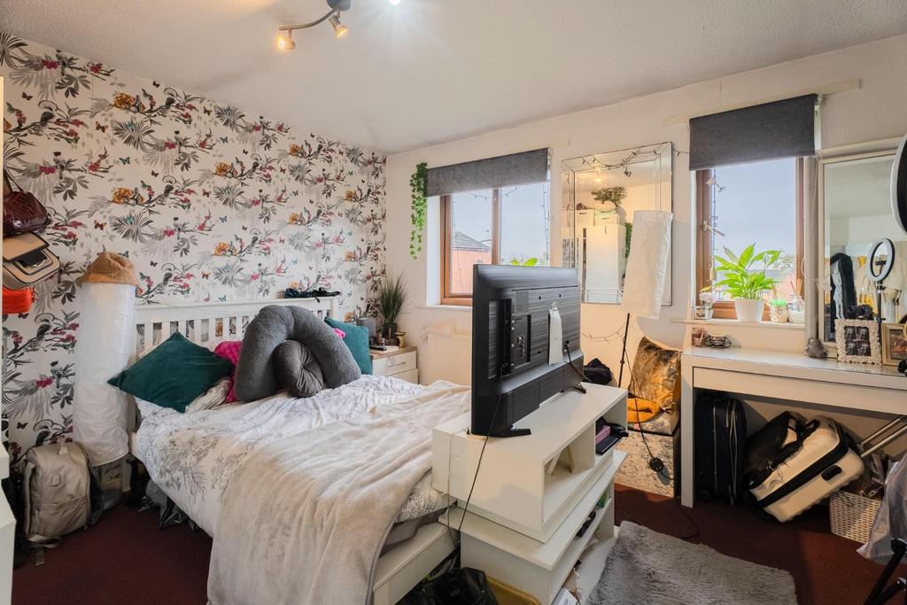 Daffodil-1.jpg