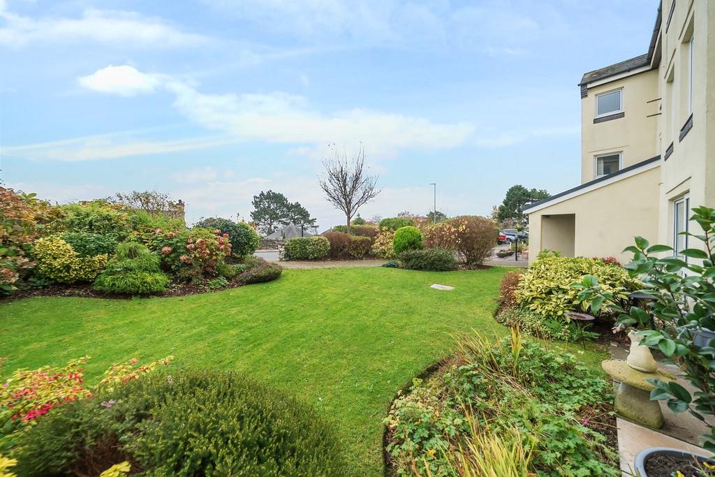 Communal Gardens