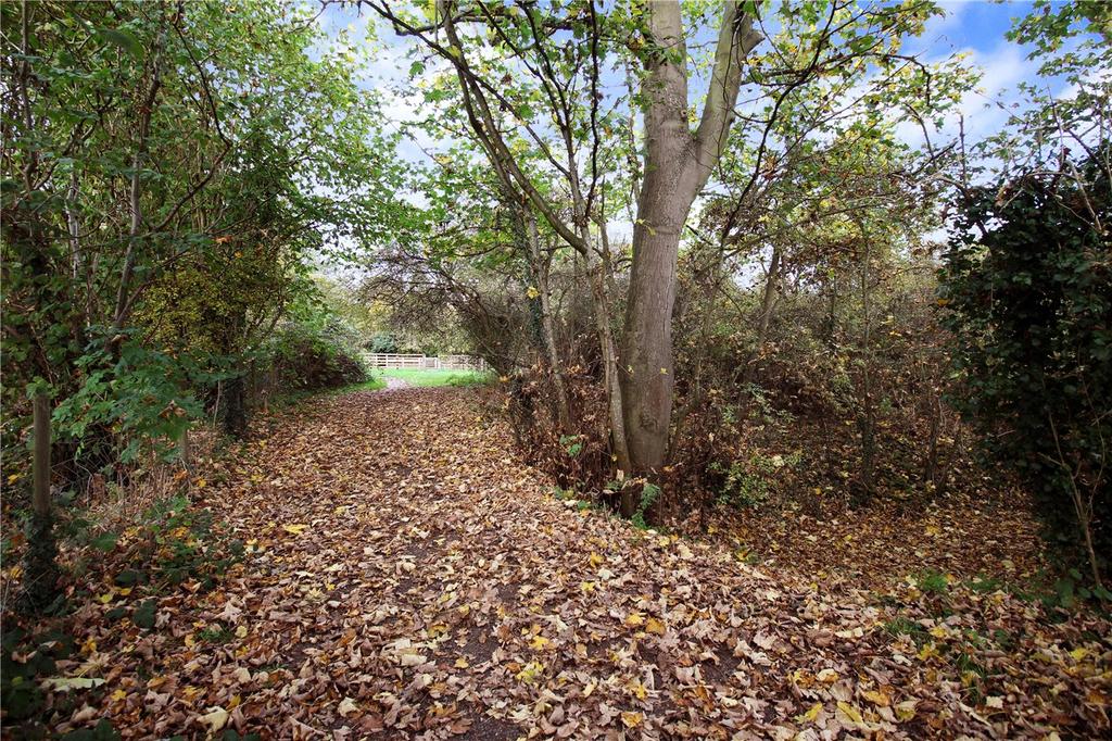 Scarning Fen