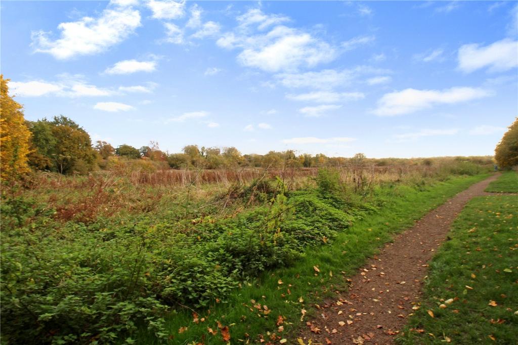 Scarning Fen