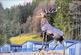 Additional image 14 of Comrie PH6