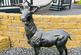 Additional image 15 of Comrie PH6