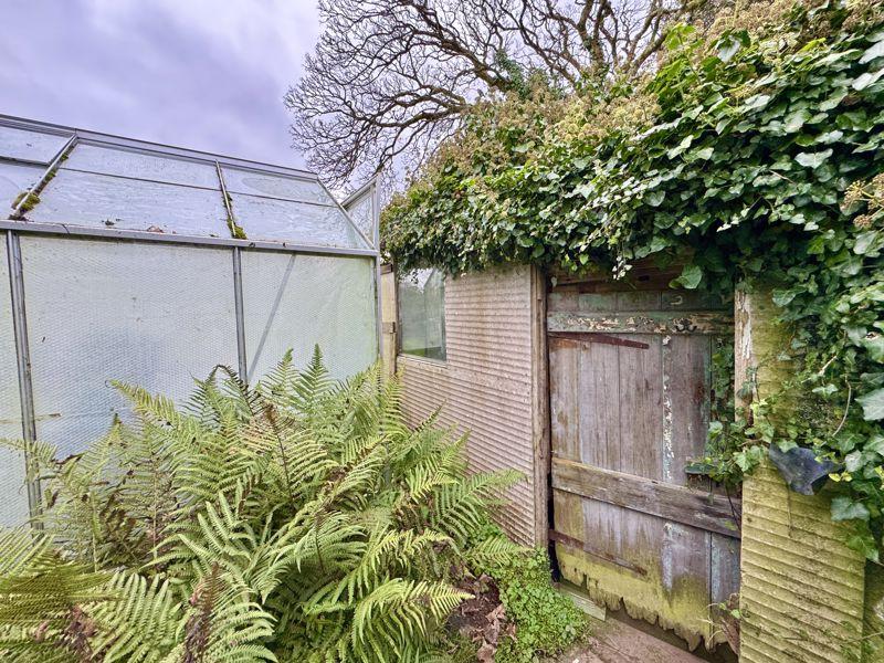 Shed And Greenhouse