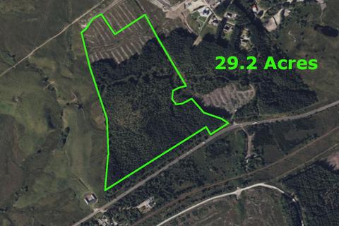 Land for sale, Achnasol Woodlands, 29.2 Acre Forest, Achnabobane, Spean Bridge