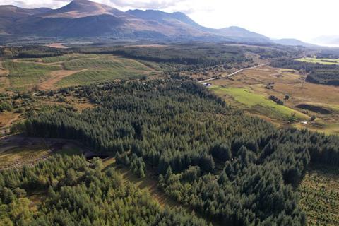 Land for sale, Achnasol Woodlands, 29.2 Acre Forest, Achnabobane, Spean Bridge