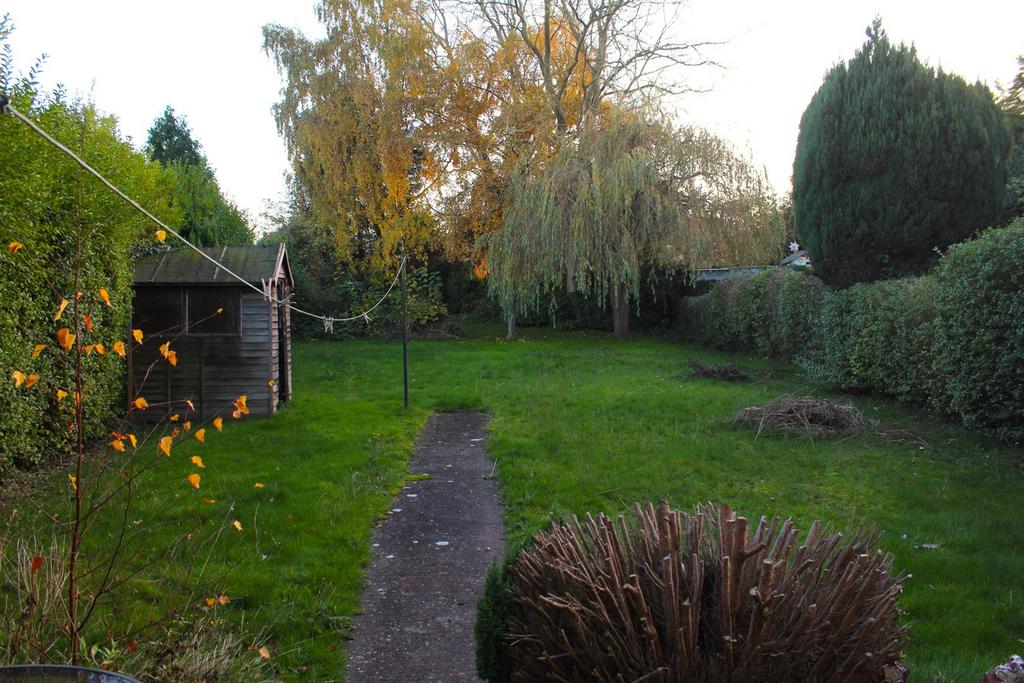 Img 0498.jpg