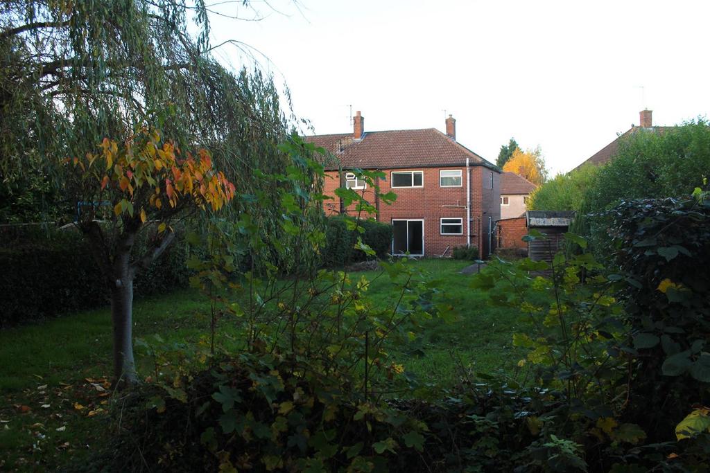 Img 0500.jpg