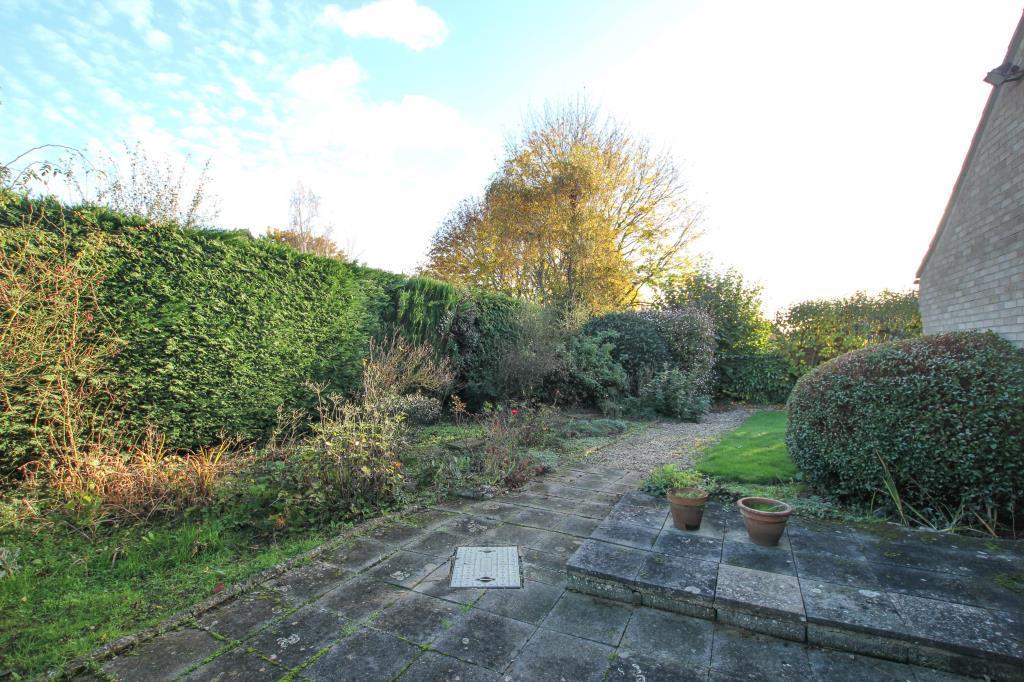 Garden.JPG