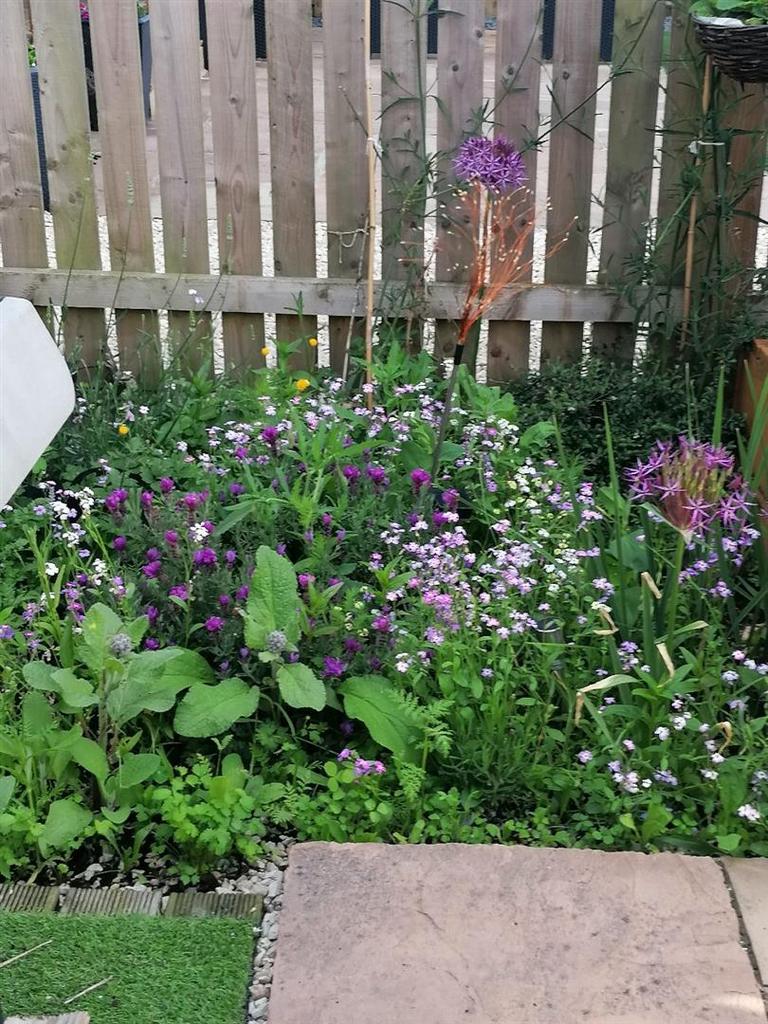 Wild Planted Boarders