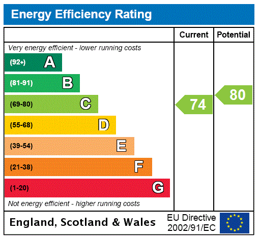 https://media.onthemarket.com/properties/16161976/1519205952/epc-60-1024x1024.png