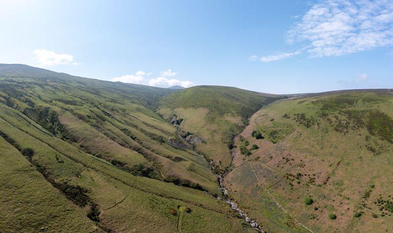 Glen Auldyn