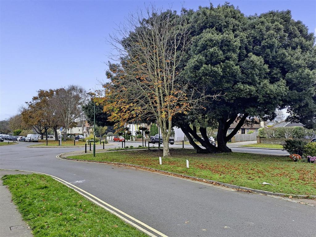 Ground Level View Across Ash Lane