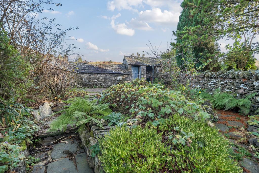 Garden and Patio Area