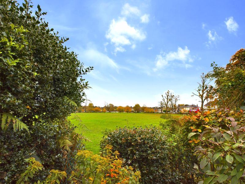 View from patio