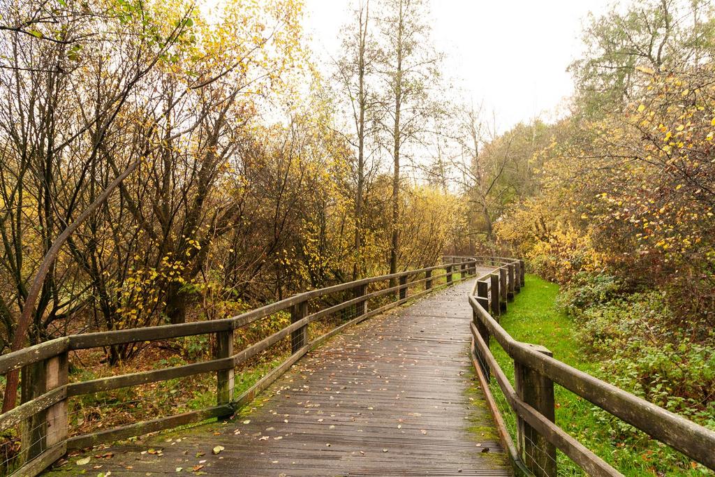 Typical Raised Timber Walkway