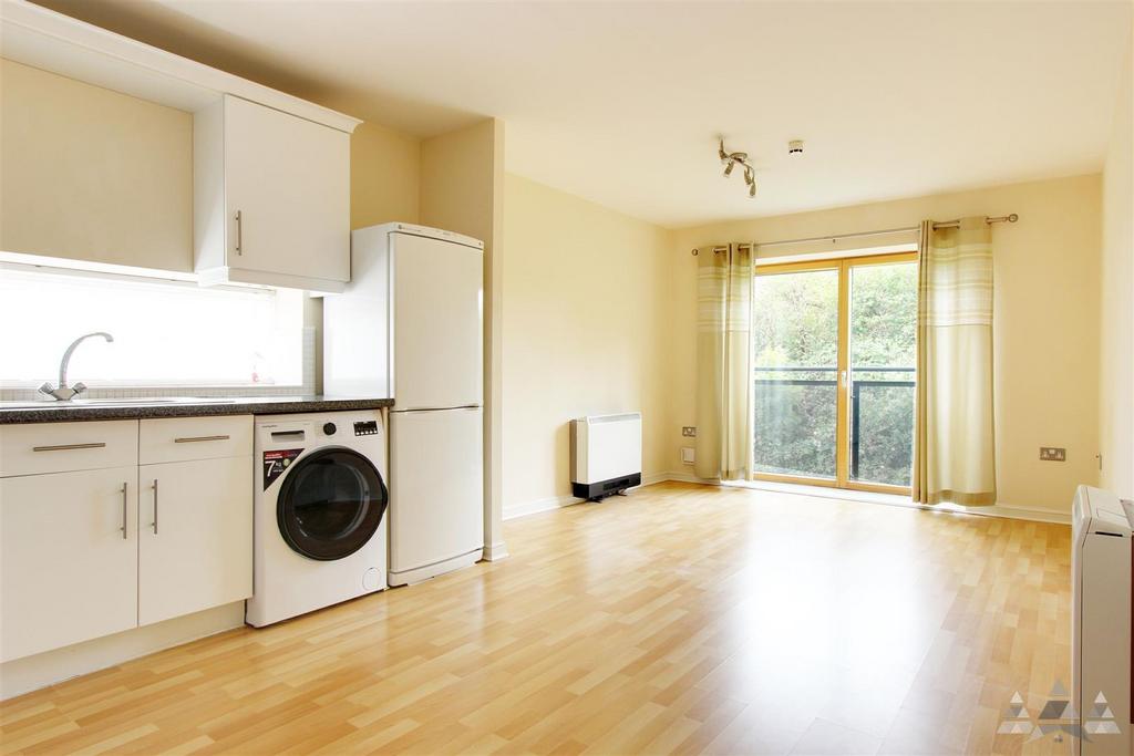 Kitchen/Living Area